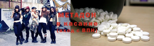 индика Алзамай