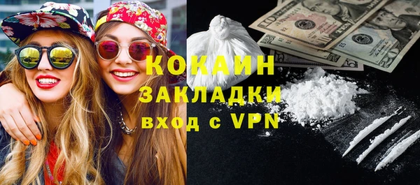 индика Алзамай