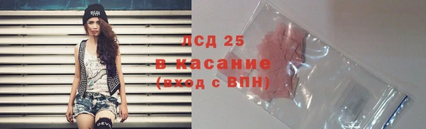 индика Алзамай