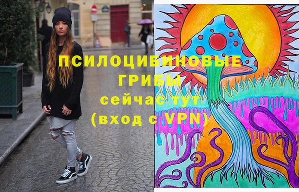 дживик Алексеевка