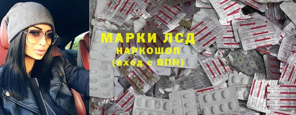 индика Алзамай