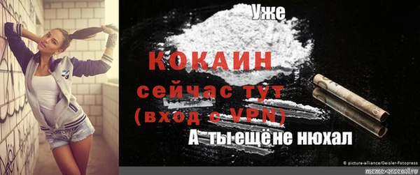 тгк Алексин