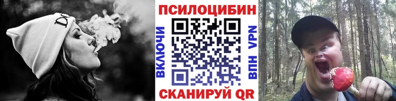 Псилоцибиновые грибы мицелий продажа наркотиков Заинск