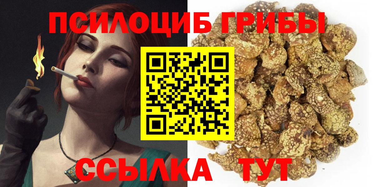 Галлюциногенные грибы Magic Shrooms  Вход с VPN  Заинск 